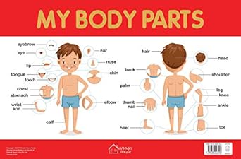 My Body Parts Chart - Early Learning Educational Chart For Kids: Perfect For Homeschooling, Kindergarten and Nursery Students (11.5 Inches X 17.5 Inches)