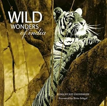Wild Wonders of India