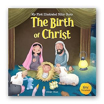 My First illustrated Bible Story: Noahs Ark