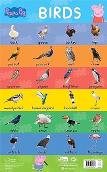 Learn with Peppa : Early Learning Birds Chart for Children