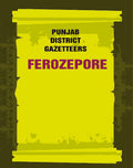 Punjab District Gazetteers: Ferozepore