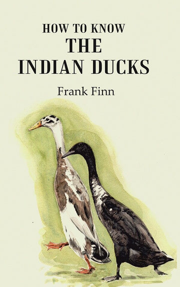 How to know the Indian ducks