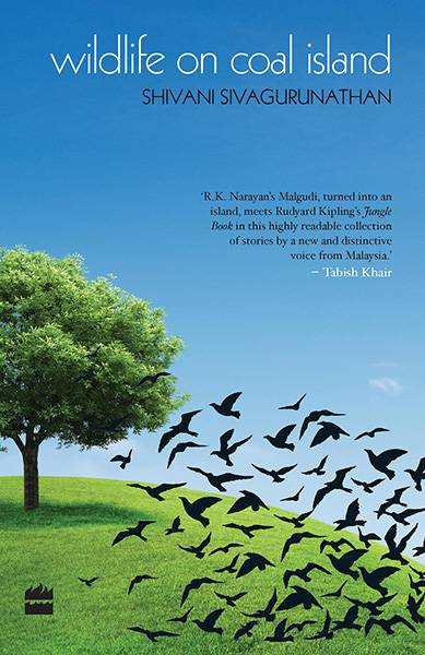 Wildlife On Coal Island