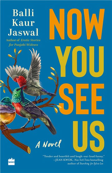 Now You See Us : The Novel