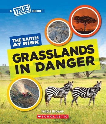 Grasslands in Danger (A True Book: The Earth at Risk)