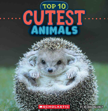 Wild World: Top 10 Cutest Animals
