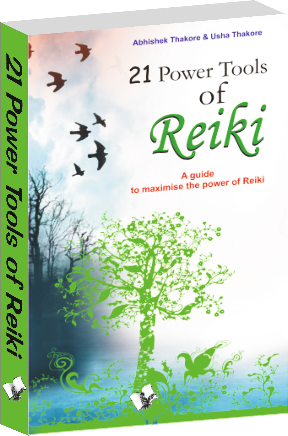 21 Power Tools Of Reiki