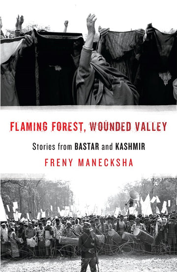 Flaming Forest, Wounded Valley