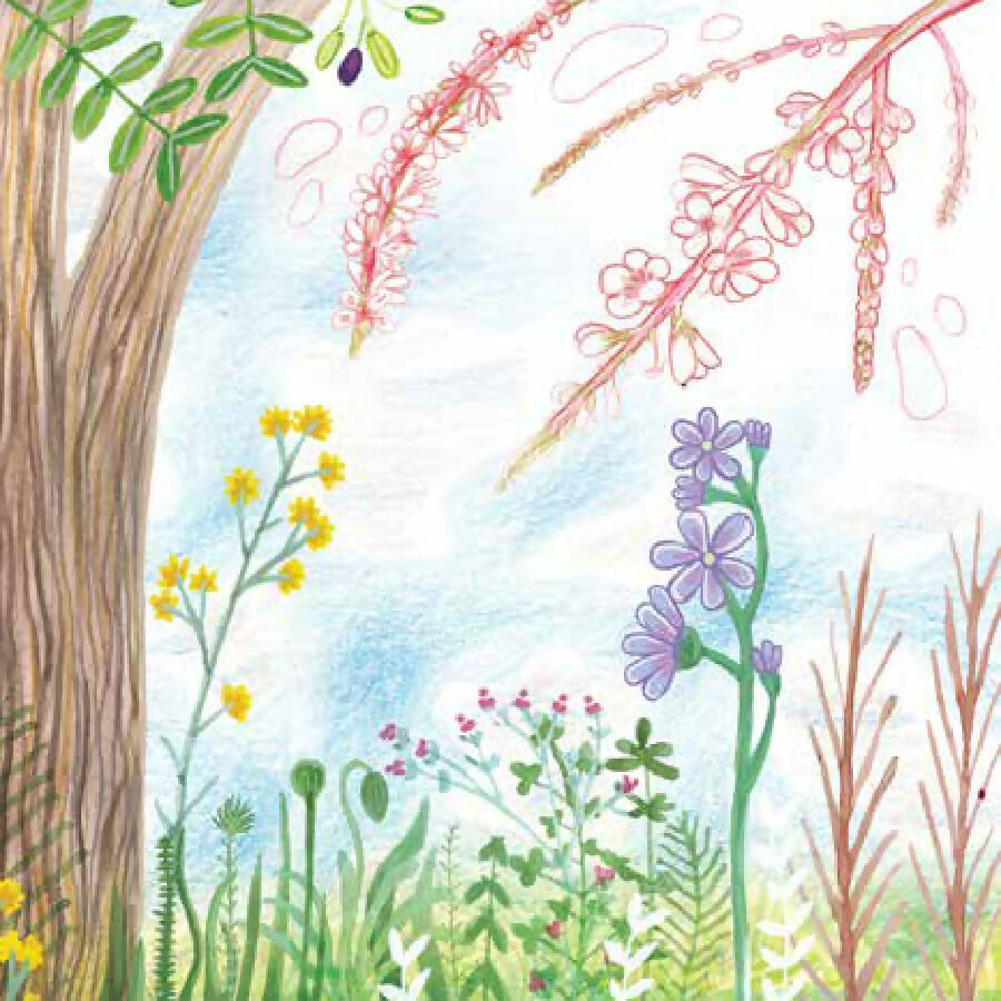 Dharti Bunkar / The Song of Life