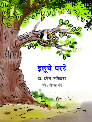 Ilooche Gharate | इलूचे घरटे