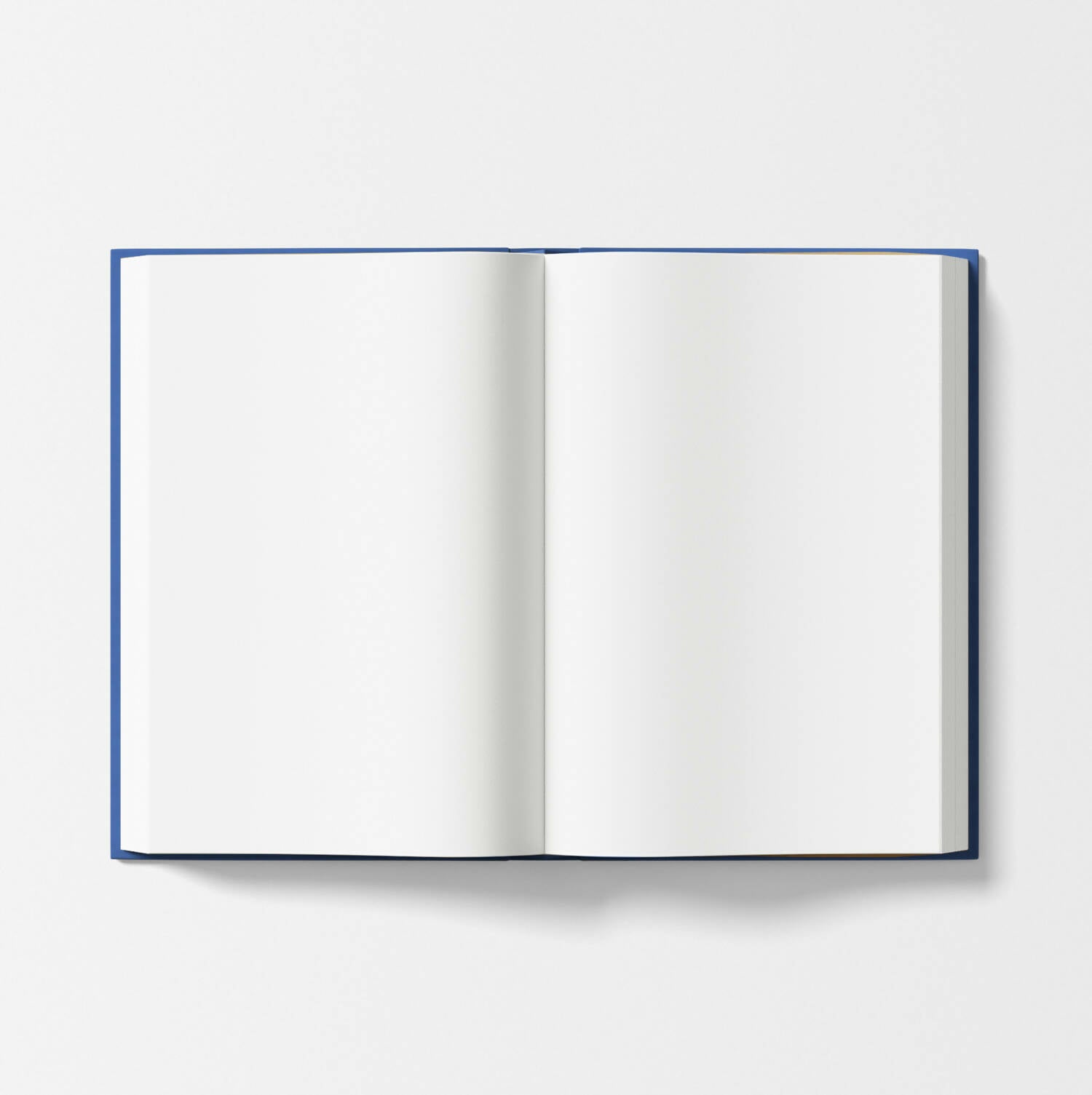 Zikr-E-Meer Diary – Daily Journal