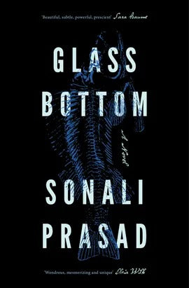 Glass Bottom: A luminous climate fiction for fans of Amitav Ghosh and Richard Powers