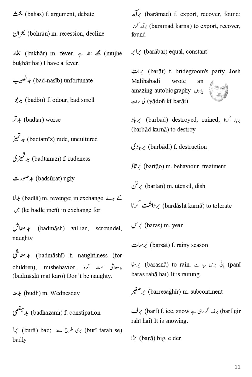 Urdu Dictionary for Beginners