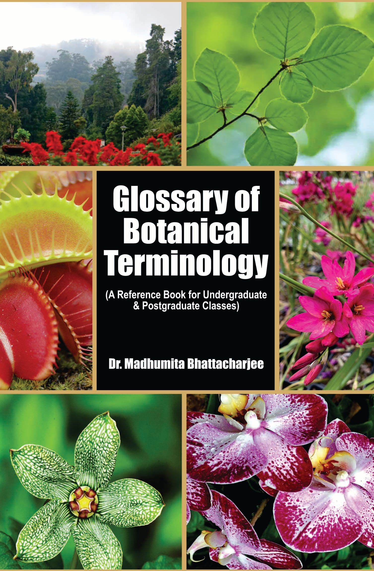 GLOSSARY OF BOTANICAL TERMINOLOGY