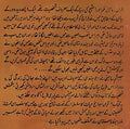 Balraj My Brother (Urdu)