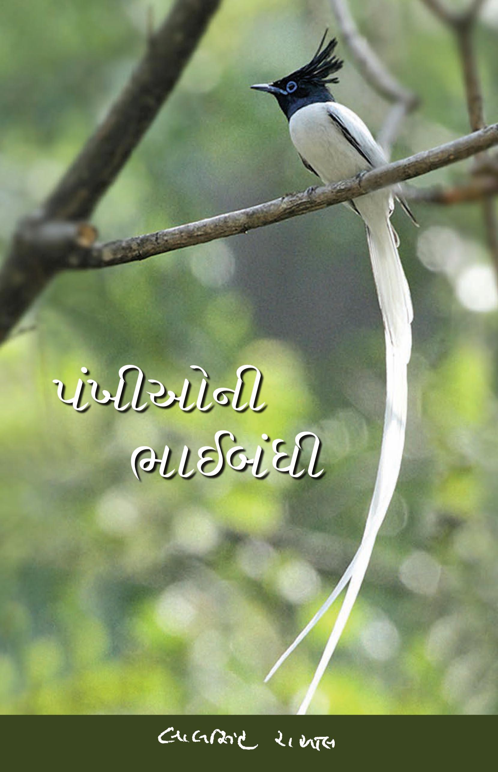 Pankhioni Bhaibandhi (પંખીઓની ભાઈબંધી)