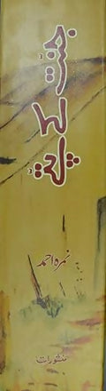 Jannat Ke Pattey