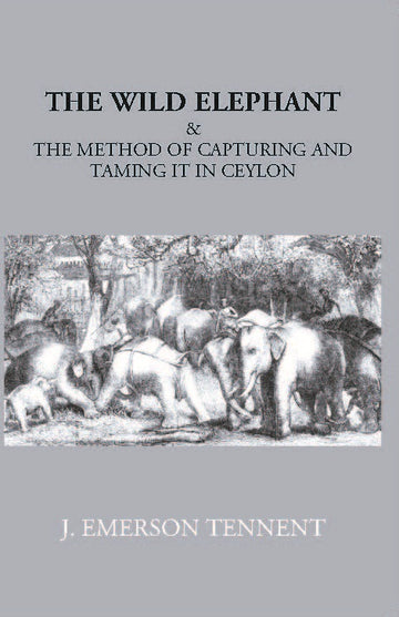 The Wild Elephant & The Method Of Capturing And Taming It In Ceylon