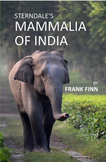 SterndaleS Mammalia Of India