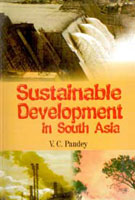 Sustainable Development in South Asia