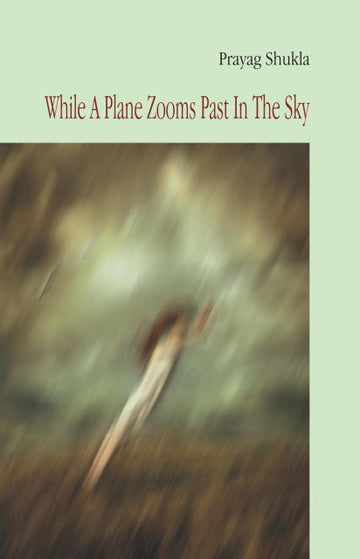 While a plane zoom past in the sky