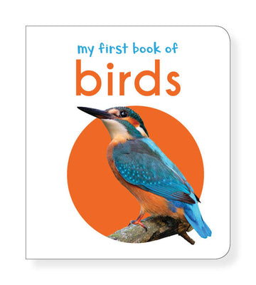 My First Book of Birds: First Board Book