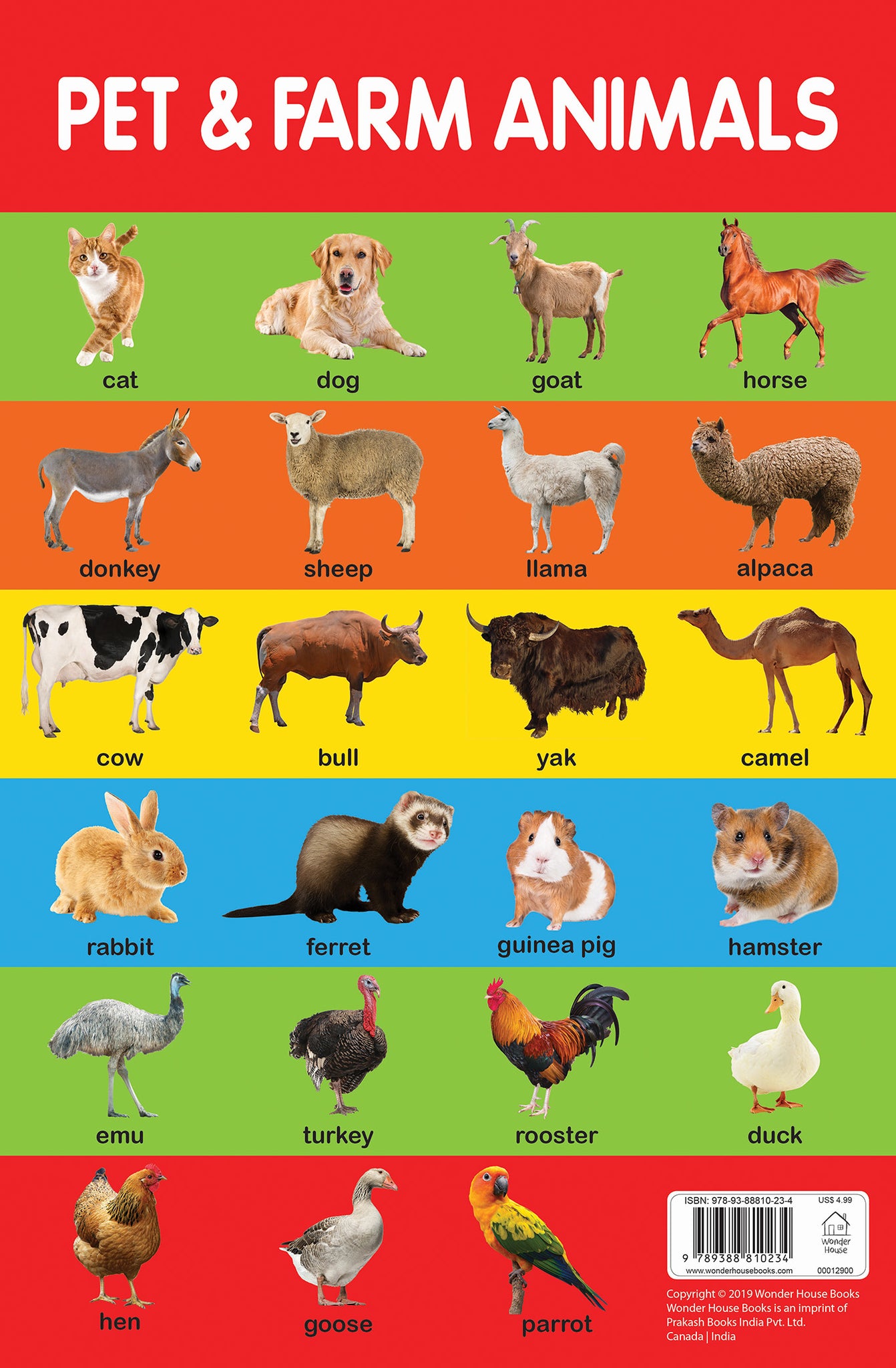Pet & Farm Animals - Early Learning Educational Posters For Children: Perfect For Kindergarten, Nursery and Homeschooling (19 Inches X 29 Inches)