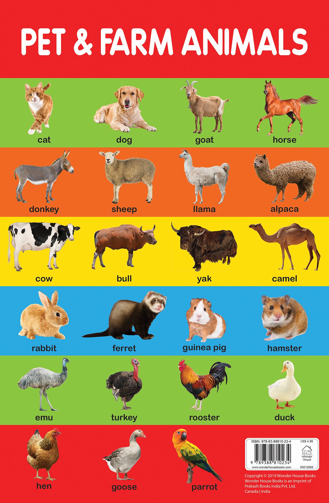 Pet Animals Pictures For Kids Wild Animals Chart Early Learning