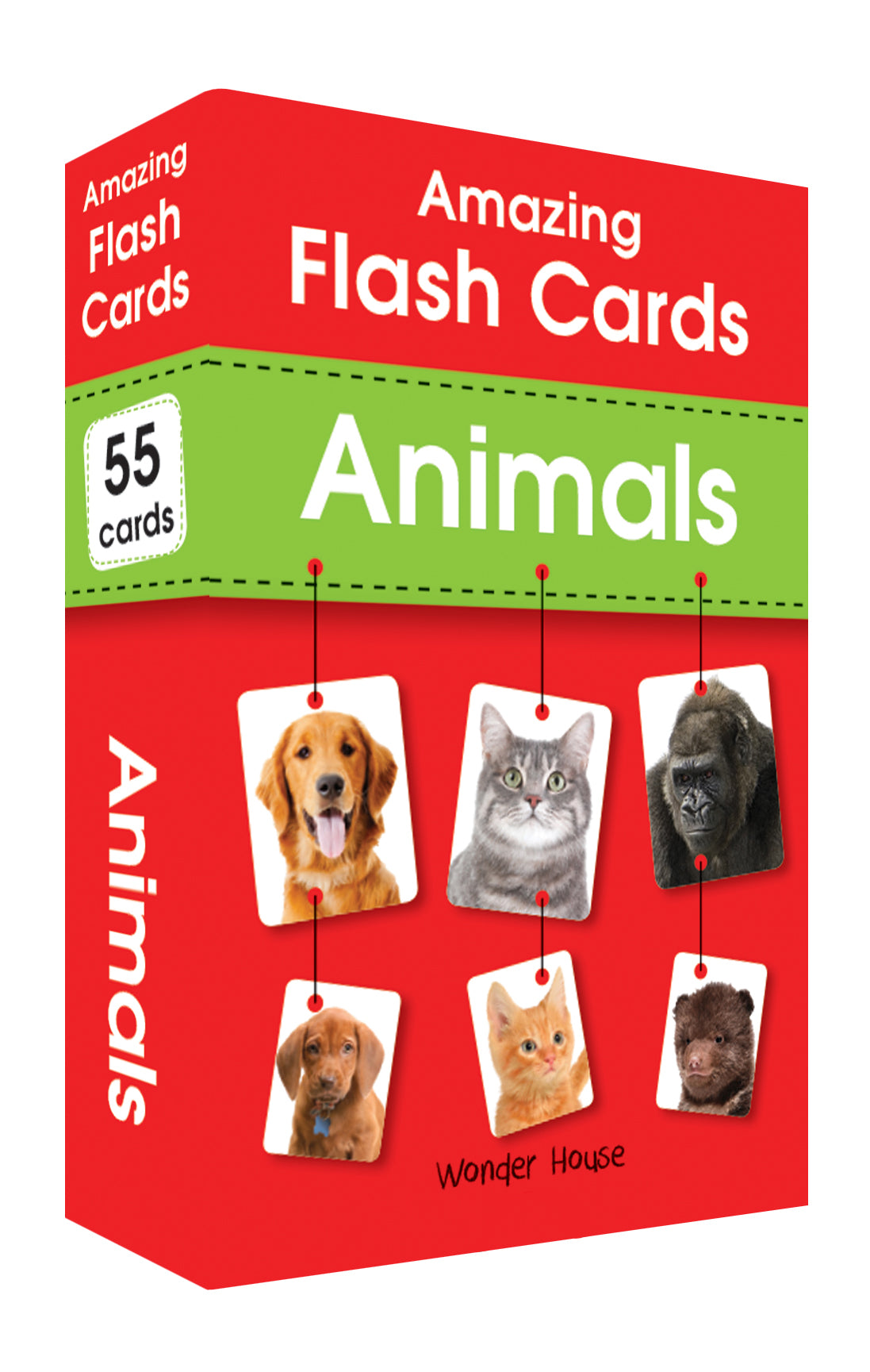 Amazing Flash Cards Animals: Early Development of Preschool Toddler (55 Cards)