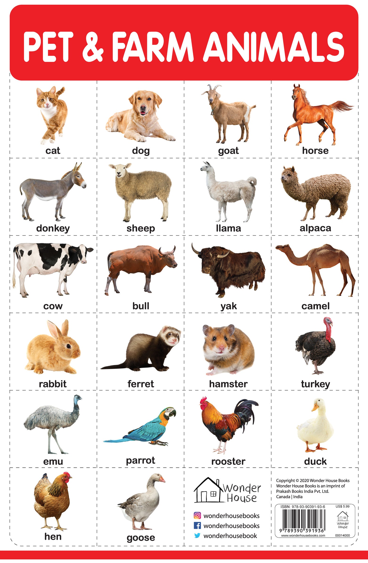 Pet And Farm Animals My First Early Learning Wall Chart For pet-and-farm-animals-my-first-early-learning-wall-chart-for