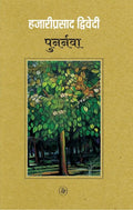 Punarnava