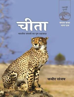Cheeta