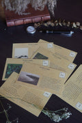 Postcard Set On Nature