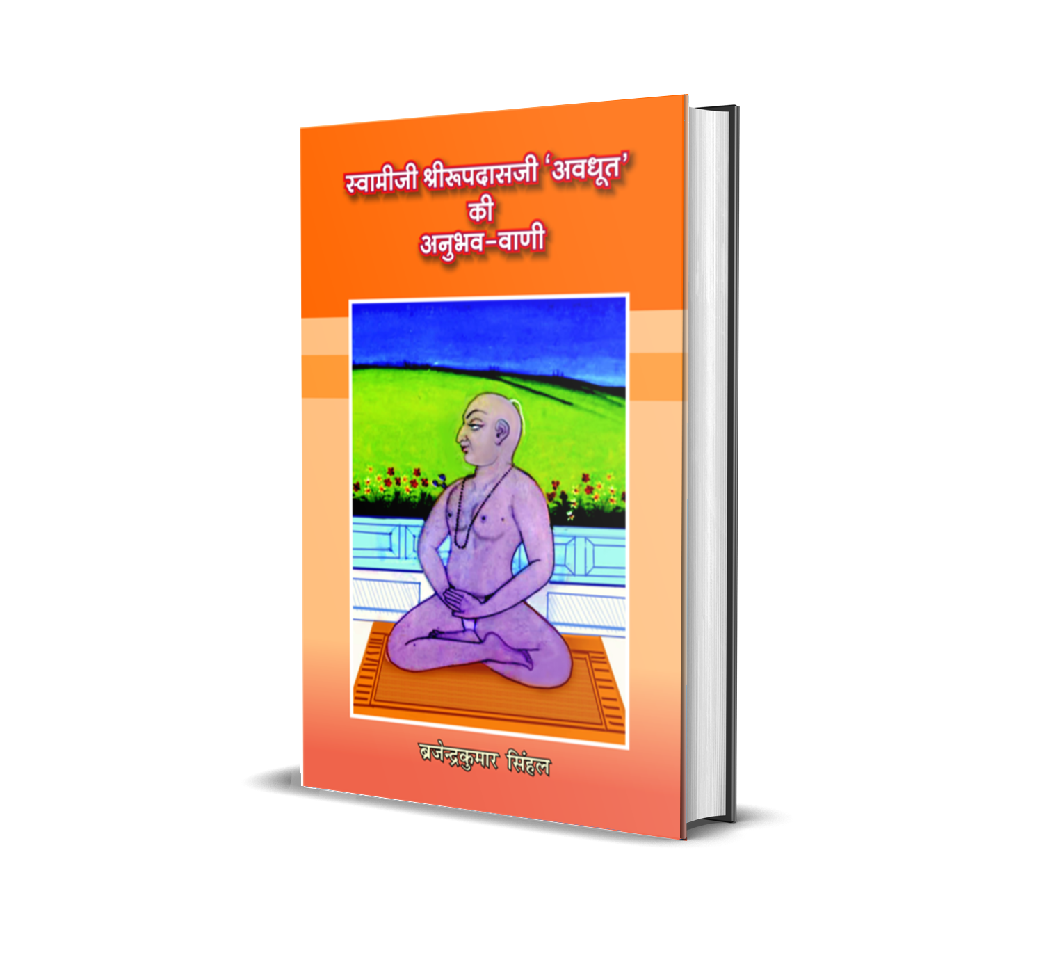 Swamiji Shri Roopdasji ‘Awdhut’ ki Anubhav Vani