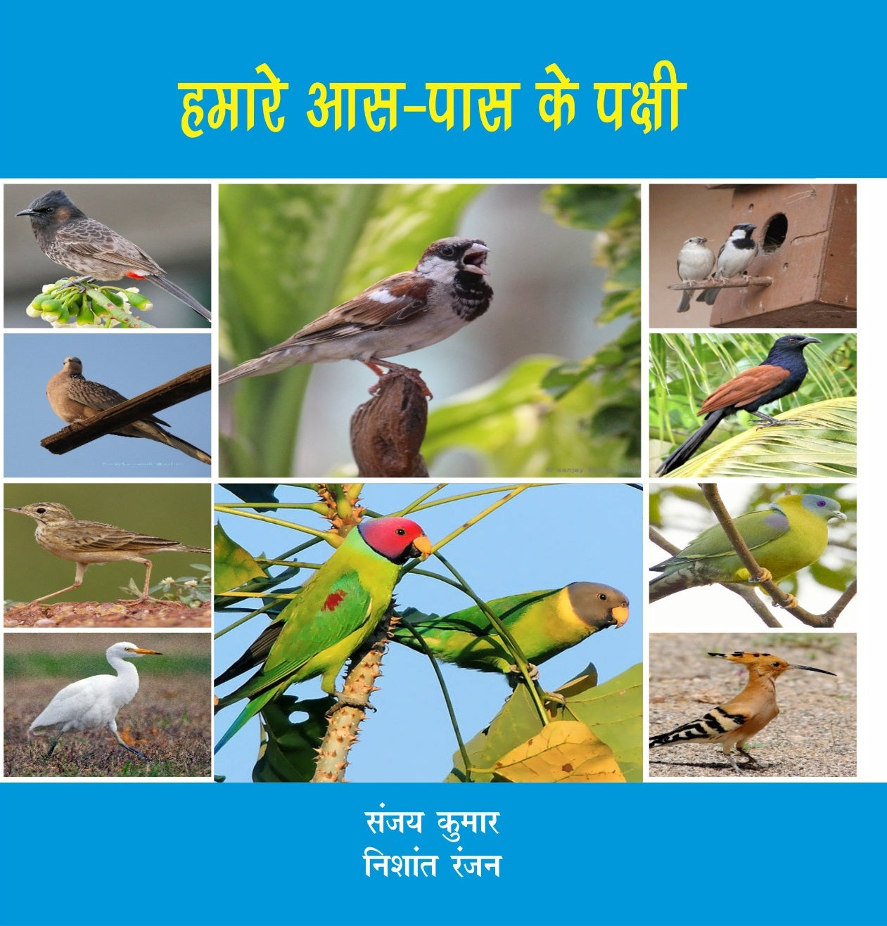 Hamare Aas-Pass Ke Pakshi