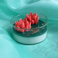 Lotus Pond Bowl Candle