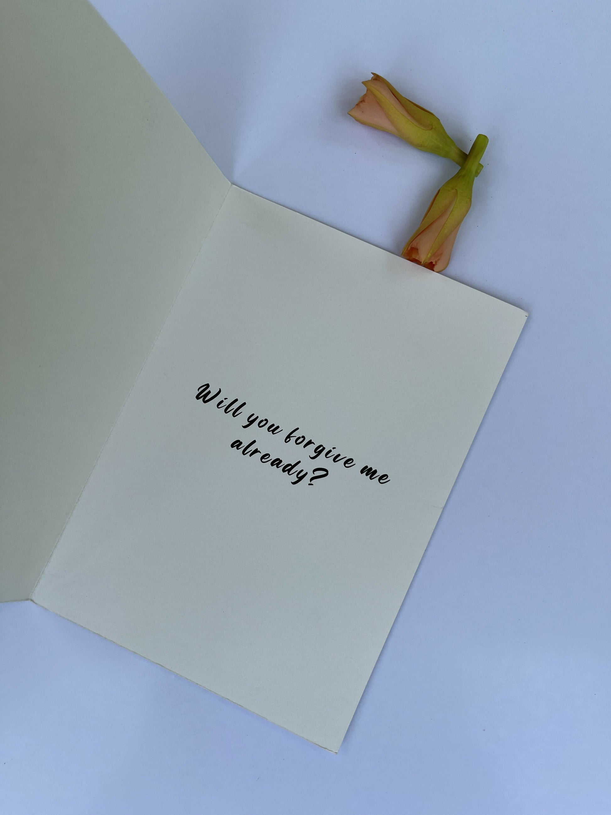 I'm Sorry, Will you Forgive Me? - Greeting card