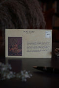 Postcard Set On Friendship
