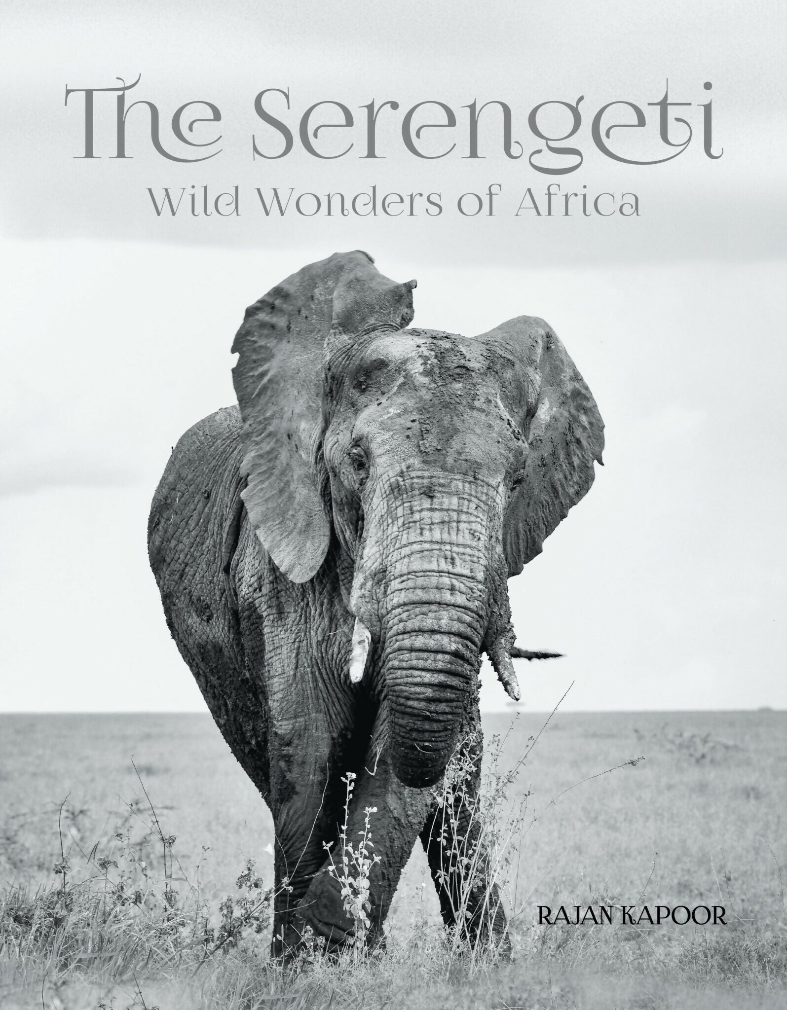 THE SERENGETI