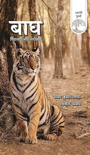 Bagh : Virasat Aur Sarokar