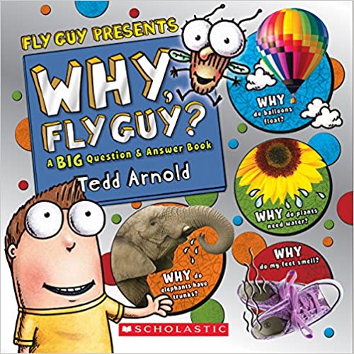 Why Fly Guy? a Big Question and Answer Book