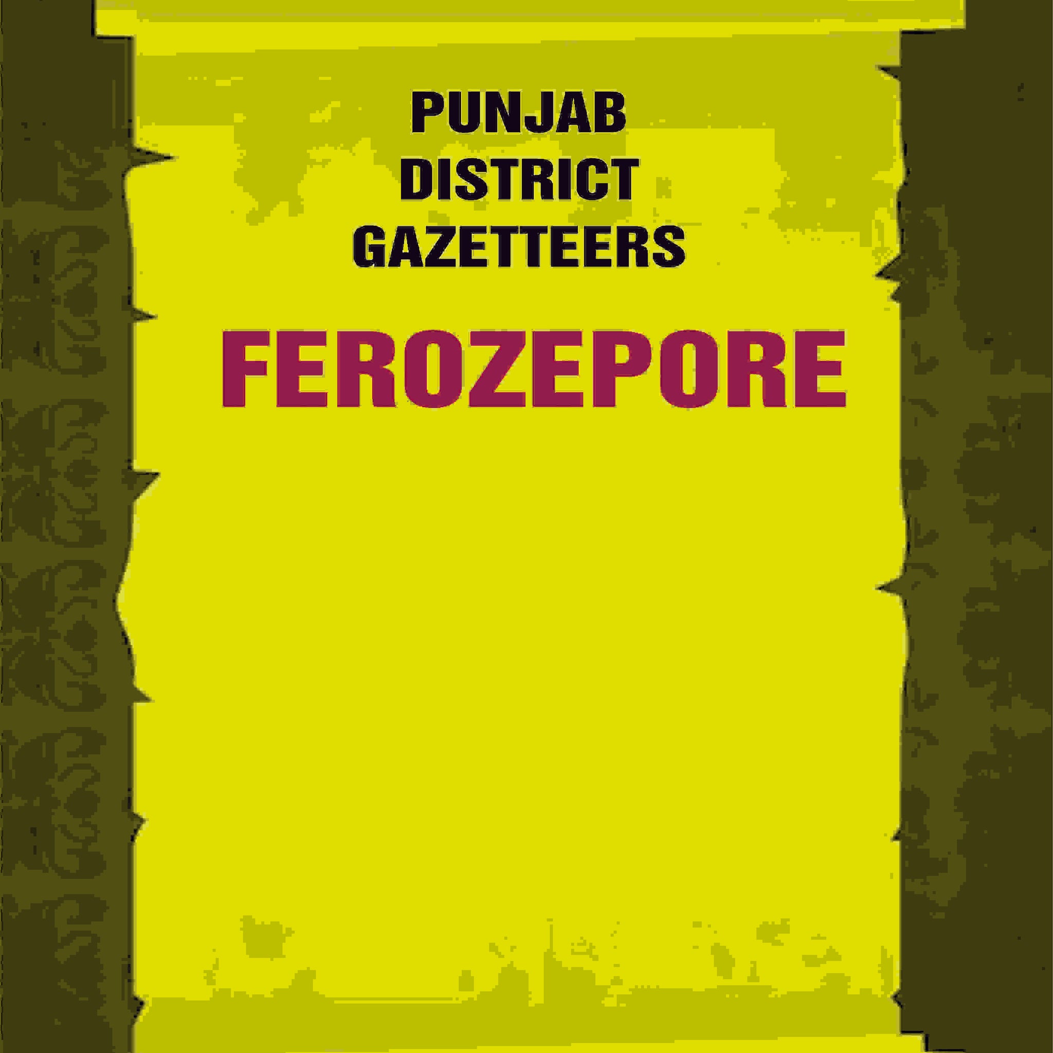 Punjab District Gazetteers: Ferozepore