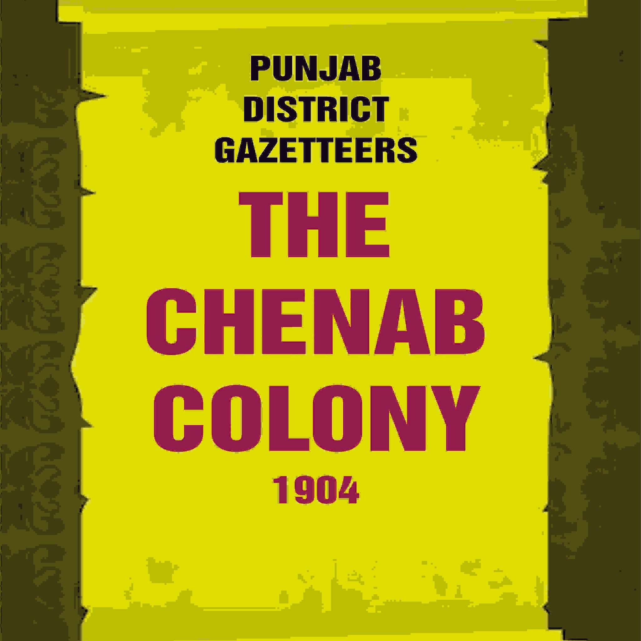 Punjab District Gazetteers: The Chenab Colony 1904