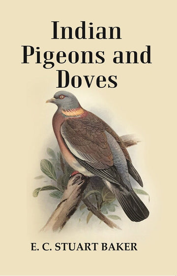 Indian Pigeons and Doves