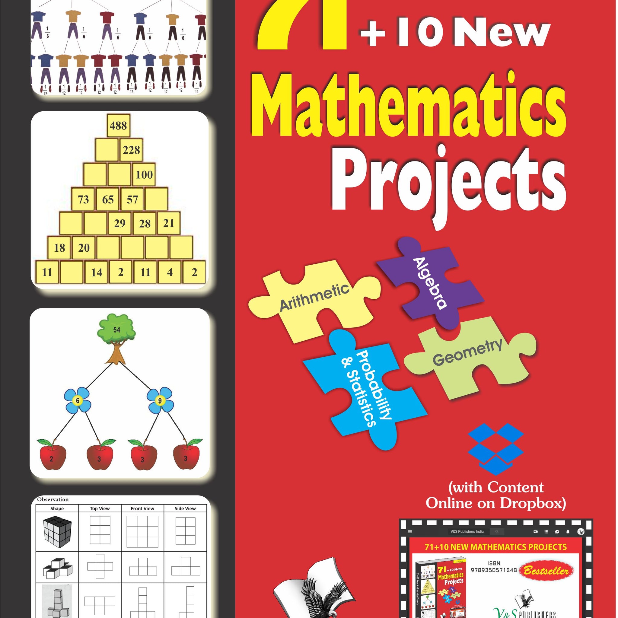 71+10 New Mathematics Projects (With Online Content on Dropbox)
