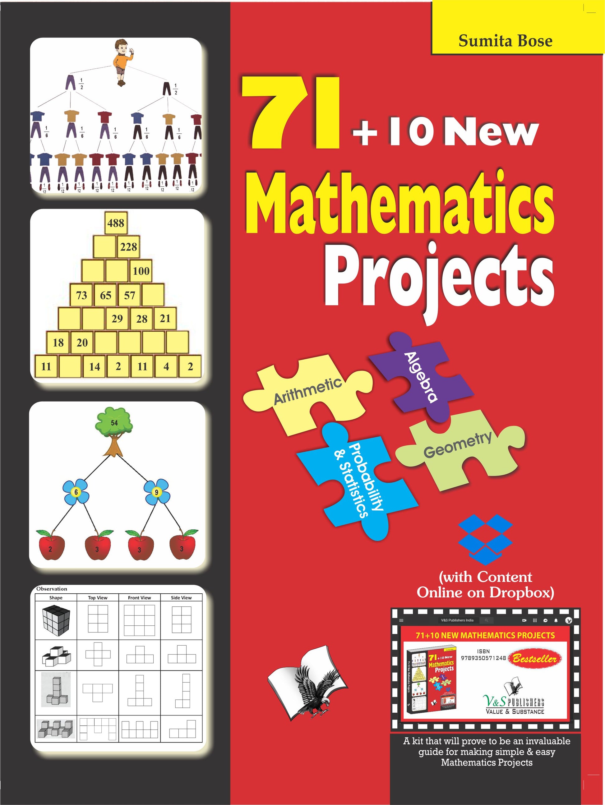 71+10 New Mathematics Projects (With Online Content on Dropbox)