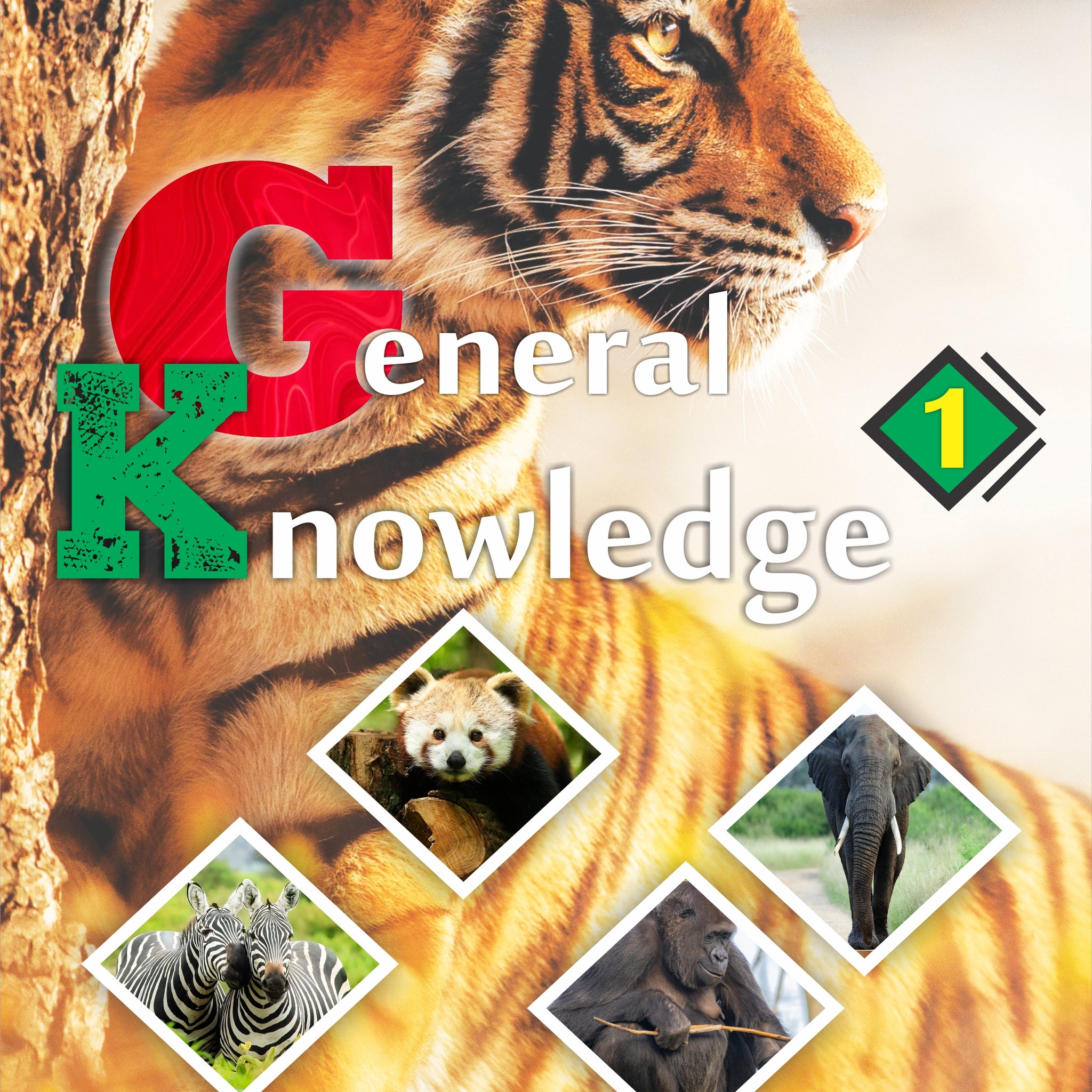 General Knowledge 1(Fully Coloured)