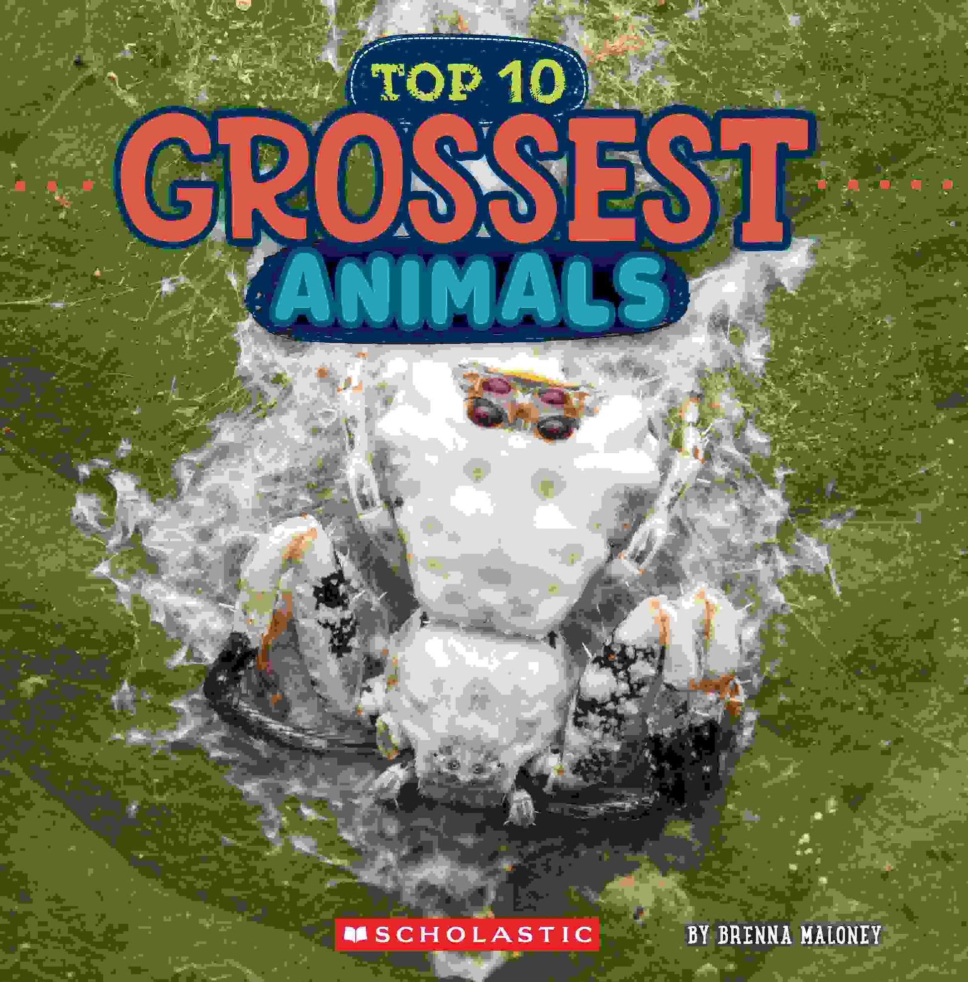 Wild World: Top 10 Grossest Animals