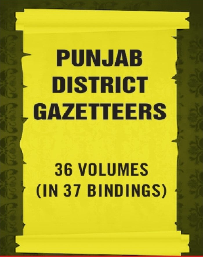 Punjab District Gazetteers