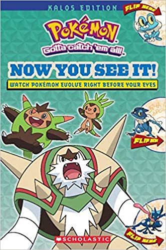 Pokemon: Now You See It! Kalos Edition